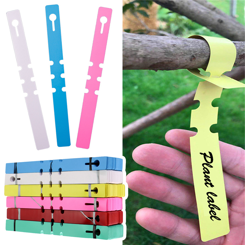 Gardening Tools Labeled - ป้ายติดต้นไม้กันน้ำ 50 ชิ้น ป้ายแขวนต้นไม้พลาสติก อุปกรณ์ทำสวน ป้ายระบุต้นไม้