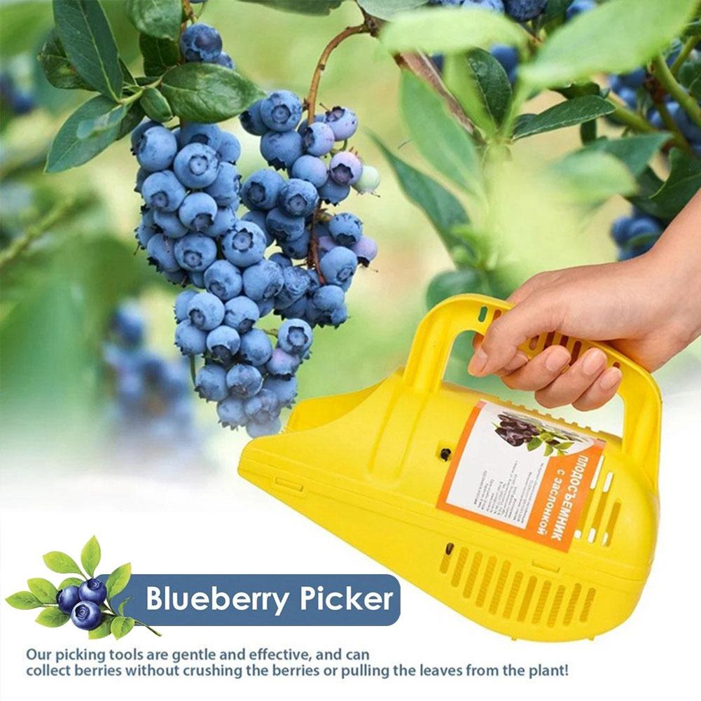 Gardening Tools Must Haves - เครื่องมือเก็บบลูเบอร์รี่แบบจับถนัดมือพร้อมหวีฟัน น้ำหนักเบา พกพาสะดวก ความจุขนาดใหญ่ อุปกรณ์เก็บเกี่ยวผลไม้ในสวนที่ต้องมี