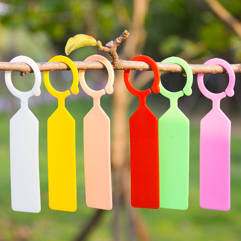 Gardening Tools Labeled - 50 ชิ้นกันน้ําป้ายโรงงานบ้านดอกไม้หมวดหมู่เรือนกระจก Orchard โรงงานพลาสติกหมวดหมู่สวนเครื่องมือ Reusable ต้นกล้าป้าย