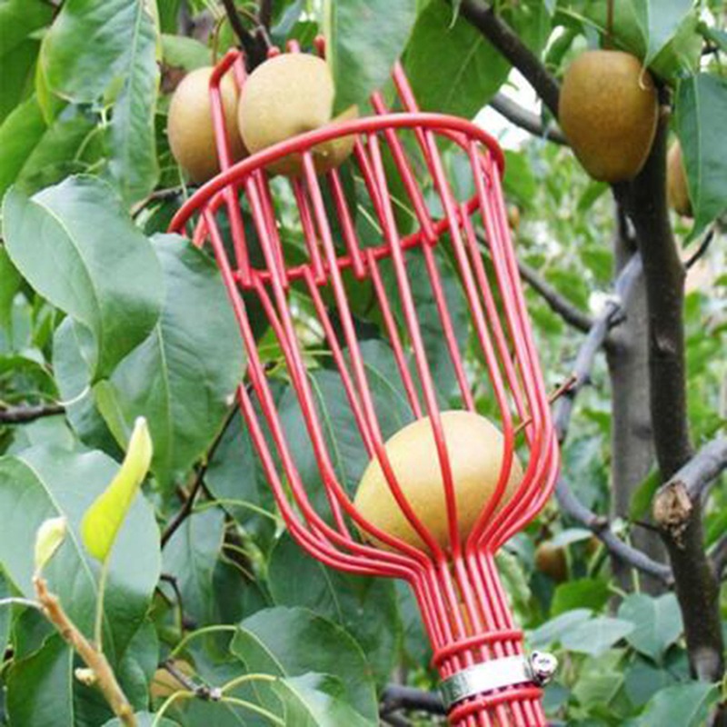 Gardening Tools Basket - หัวเก็บผลไม้แบบตะกร้าลึก พกพาสะดวก สำหรับเก็บผลไม้บนที่สูง เช่น ส้ม ลูกแพร์