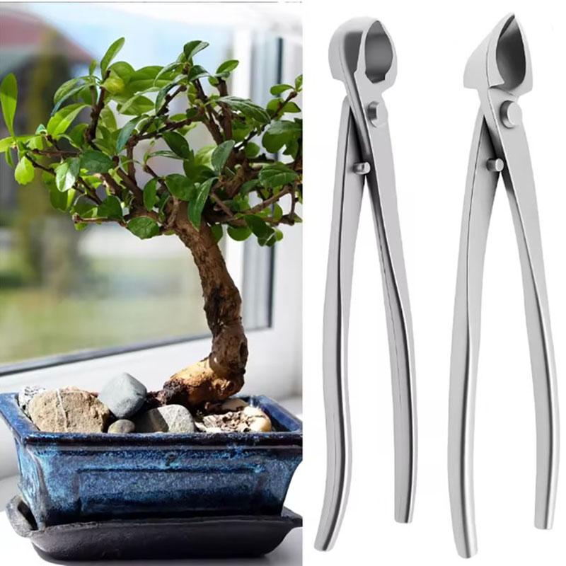 Gardening Tools Australia - ชุดเครื่องมือทำบอนไซสแตนเลส 2 ชิ้น ขนาด 210 มม.