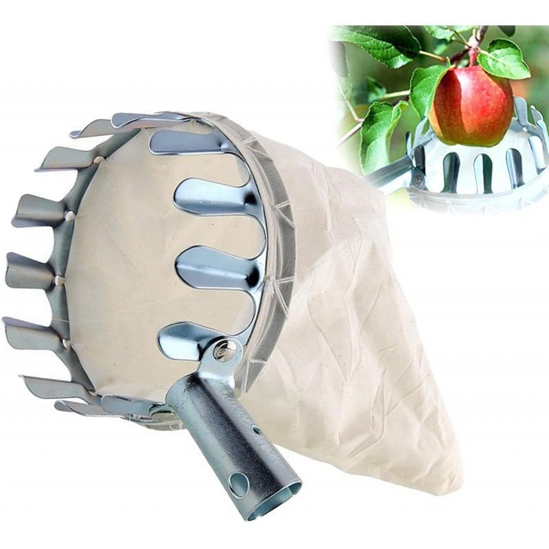 หัวตะกร้าเก็บผลไม้โลหะ, อุปกรณ - Gardening Tools Basket บทวิจารณ์และราคา
