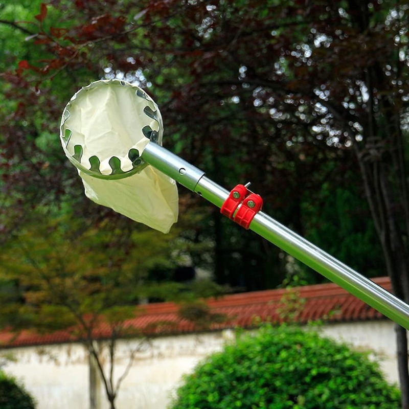 หัวตะกร้าเก็บผลไม้โลหะ, อุปกรณ - Gardening Tools Basket บทวิจารณ์และราคา