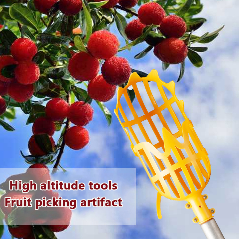 ตะกร้าเก็บผลไม้ล๊อควอท์เบอร์รี - Gardening Tools Basket บทวิจารณ์และราคา