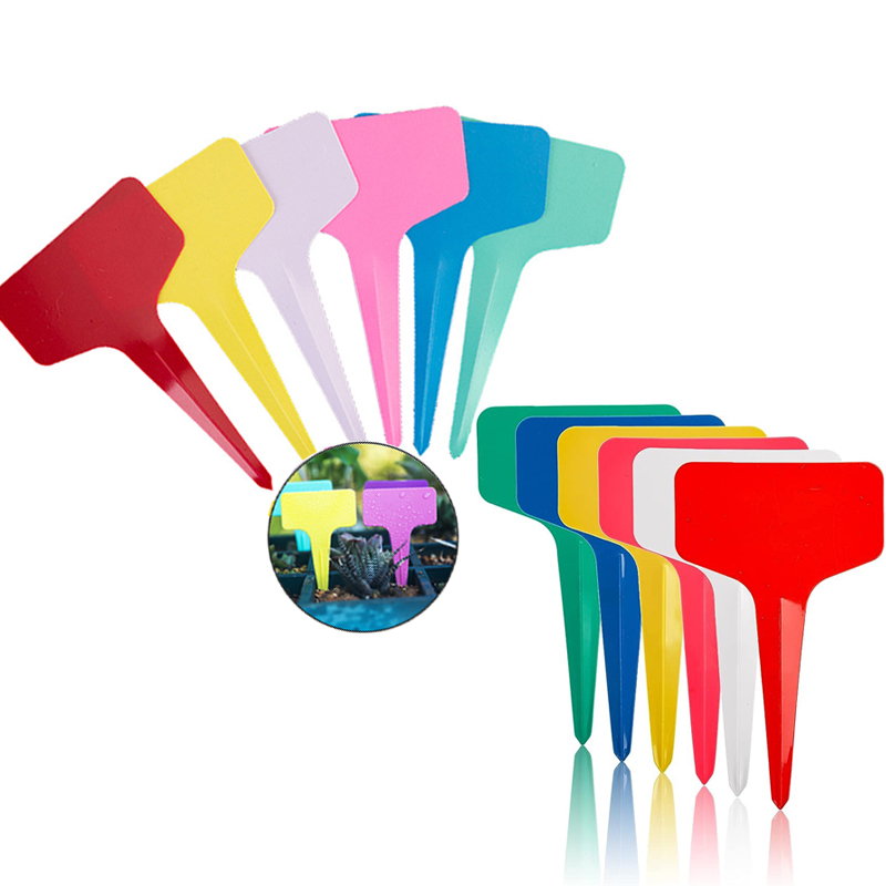 ป้ายติดต้นไม้ 50/100 ชิ้น อุปก - Gardening Tools Labeled บทวิจารณ์และราคา