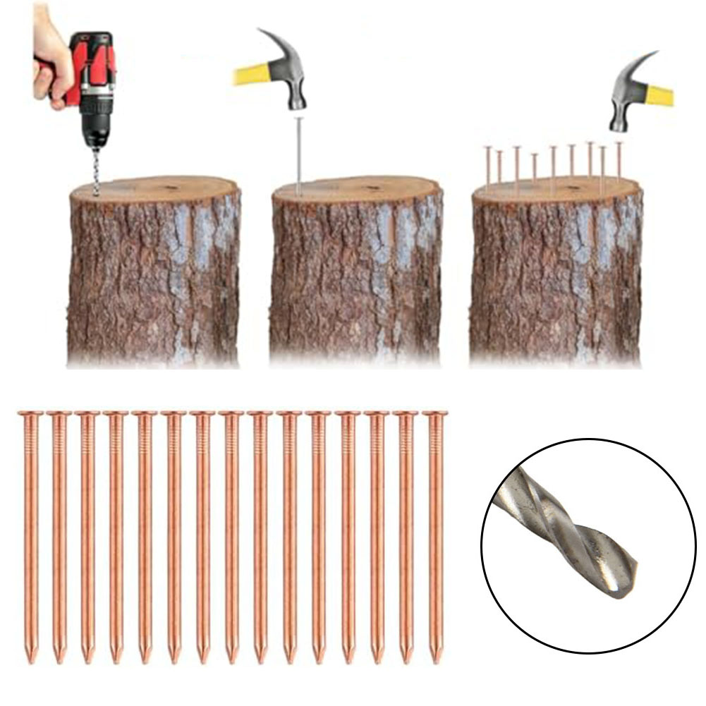 ตะปูทองแดงแข็งขนาด 2 นิ้วสำหรั - Gardening Tools Target บทวิจารณ์และราคา