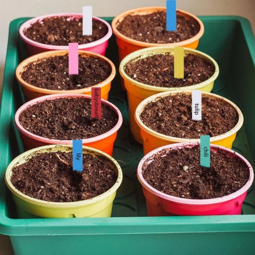 ป้ายชื่อต้นไม้สำหรับสวน 100 ชิ - Gardening Tools Labeled บทวิจารณ์และราคา
