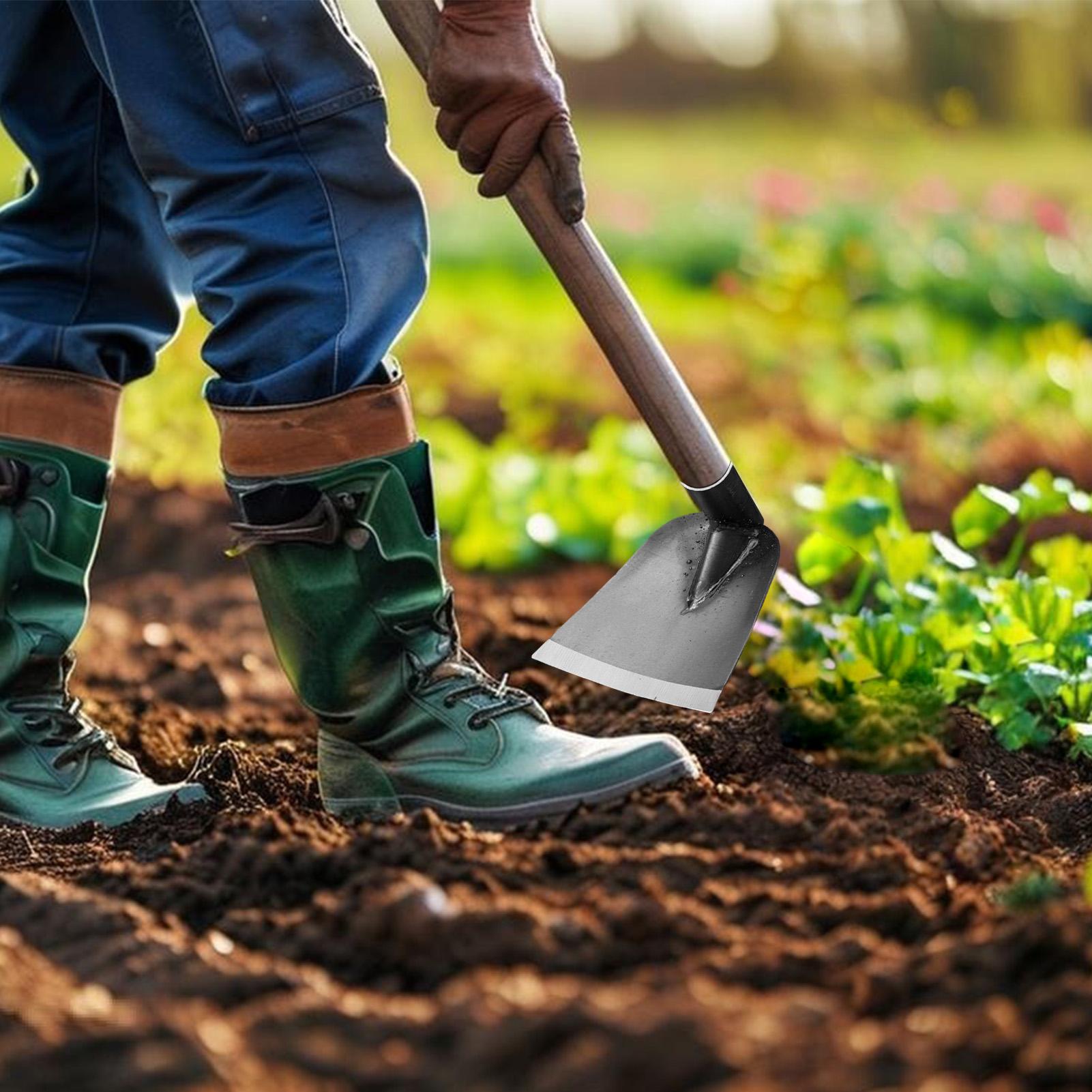 จอบสวนเหล็กแมงกานีส, ดีไซน์แข็ - Gardening Tools To Remove Grass บทวิจารณ์และราคา