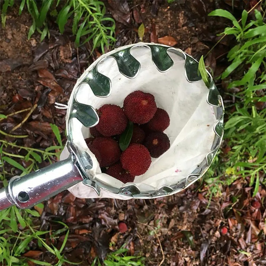ตะกร้าเก็บผลไม้แข็งแรง ทนทาน อ - Gardening Tools Basket บทวิจารณ์และราคา