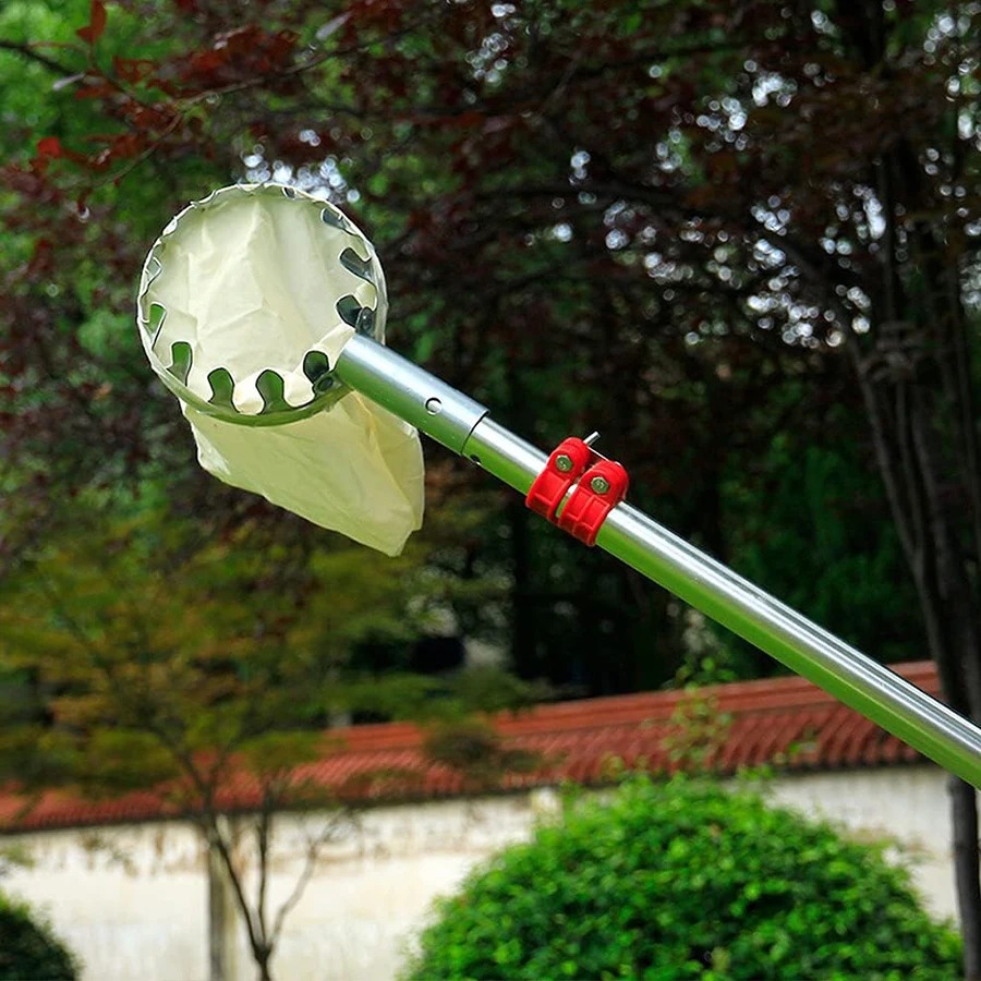 ตะกร้าเก็บผลไม้แข็งแรง ทนทาน อ - Gardening Tools Basket บทวิจารณ์และราคา
