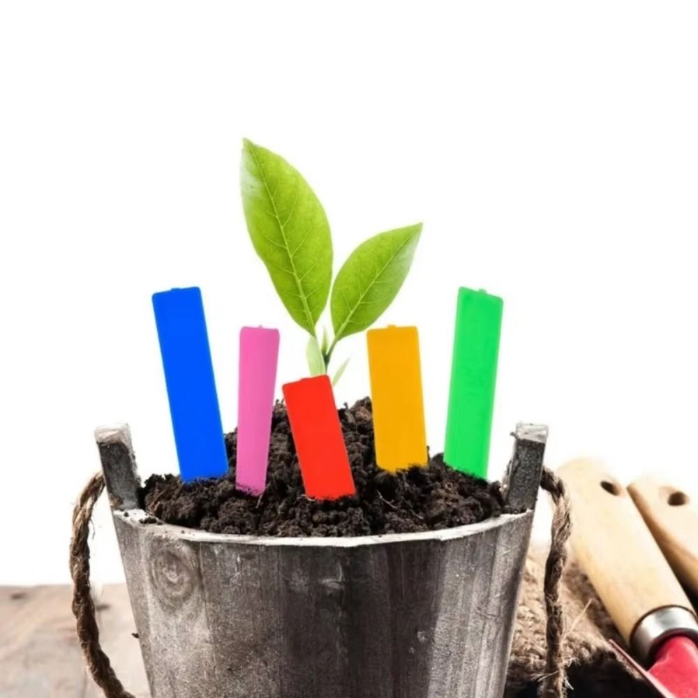 ป้ายติดต้นไม้พลาสติก 100 ชิ้น  - Gardening Tools Labeled บทวิจารณ์และราคา