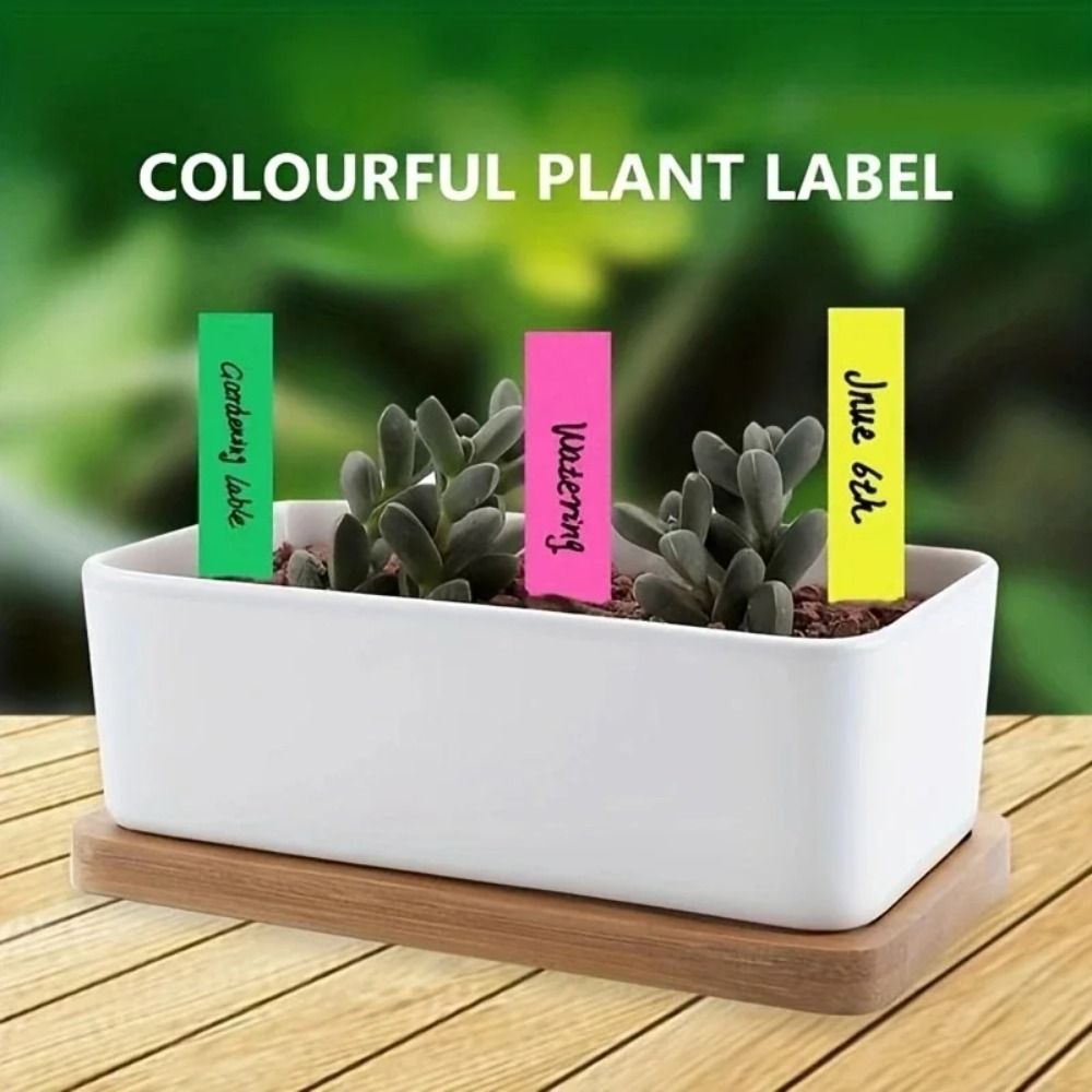 ป้ายติดต้นไม้พลาสติก 100 ชิ้น  - Gardening Tools Labeled บทวิจารณ์และราคา