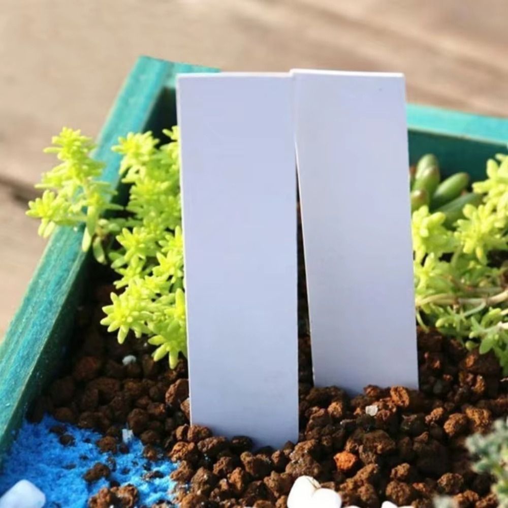 ป้ายติดต้นไม้พลาสติก 100 ชิ้น  - Gardening Tools Labeled บทวิจารณ์และราคา