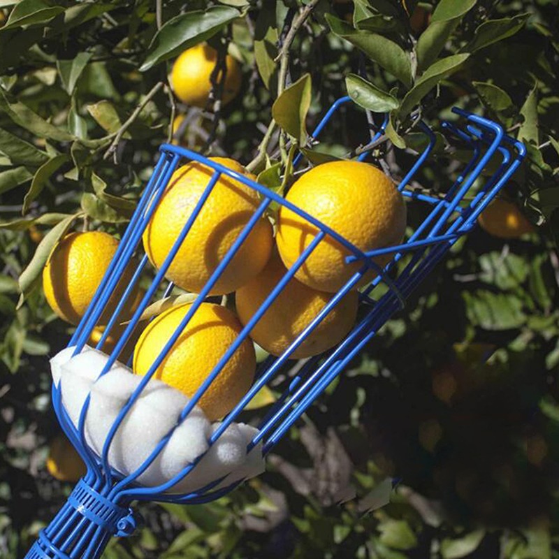 หัวเก็บผลไม้แบบตะกร้าลึก พกพาส - Gardening Tools Basket บทวิจารณ์และราคา