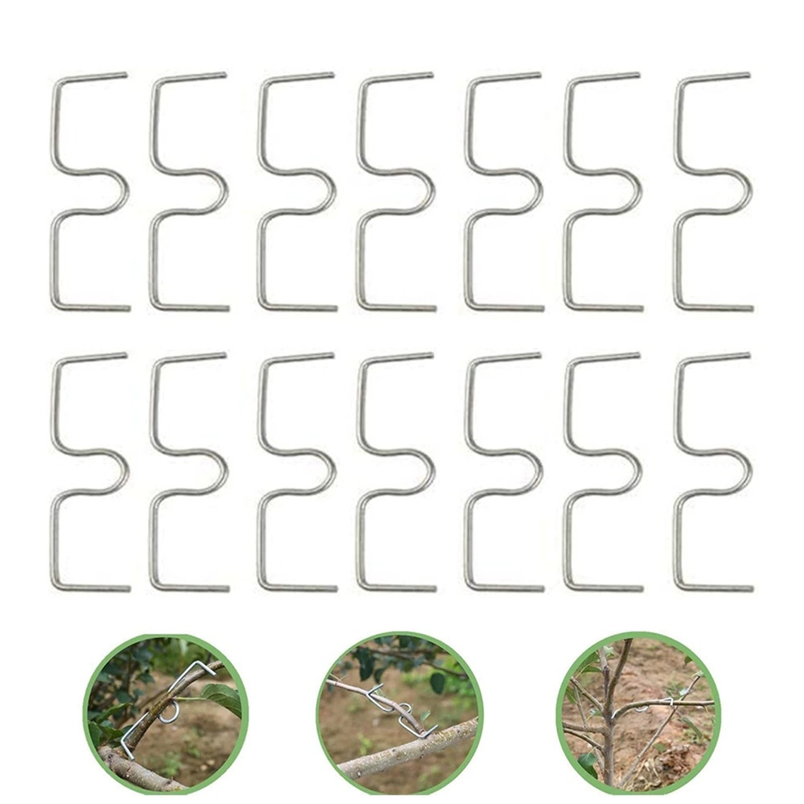เครื่องดัดกิ่งไม้ผลไม้ อุปกรณ์ - Gardening Tools Must Haves บทวิจารณ์และราคา