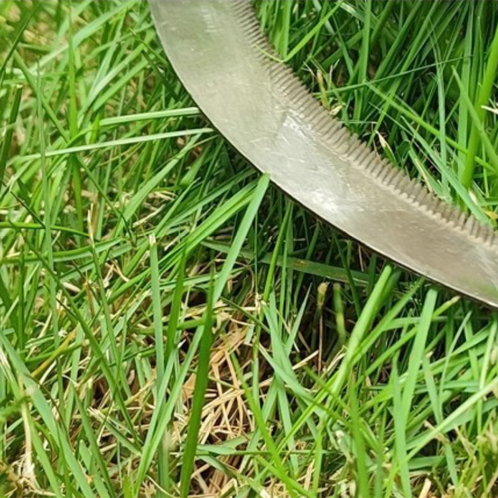 เครื่องมือเกษตรแบบเคียวสแตนเลส - Gardening Tools Australia บทวิจารณ์และราคา
