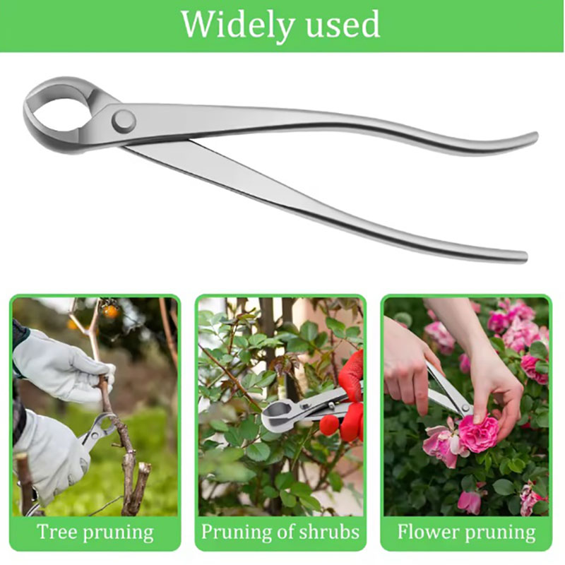 ชุดเครื่องมือทำบอนไซสแตนเลส 2  - Gardening Tools Australia บทวิจารณ์และราคา
