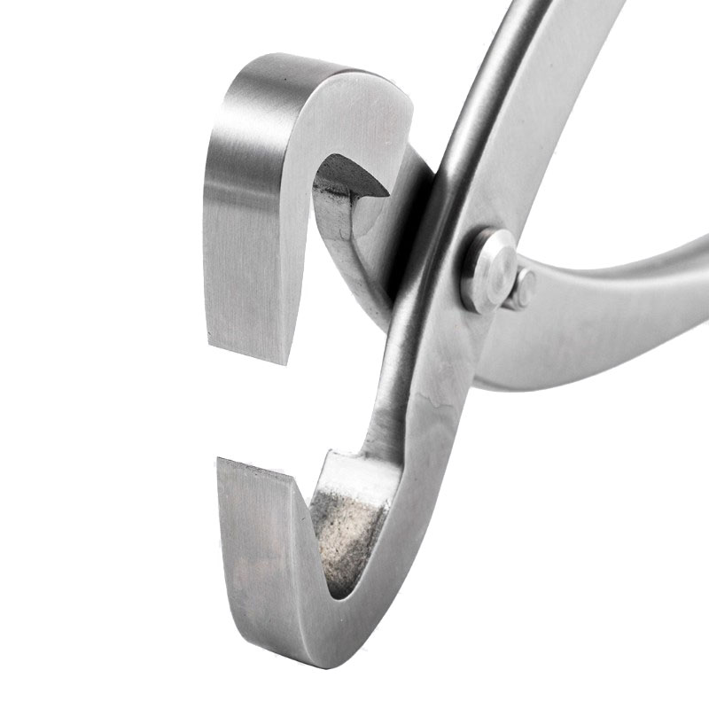 ชุดเครื่องมือทำบอนไซสแตนเลส 2  - Gardening Tools Australia บทวิจารณ์และราคา
