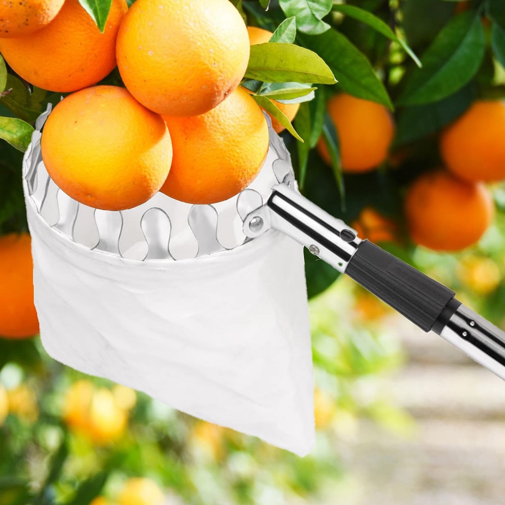 ไม้คีบผลไม้พร้อมตะกร้า แบบยืดห - Gardening Tools Basket บทวิจารณ์และราคา