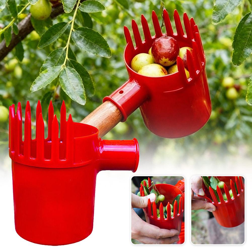 เครื่องมือเก็บผลไม้แบบพกพา ตะก - Gardening Tools Basket บทวิจารณ์และราคา