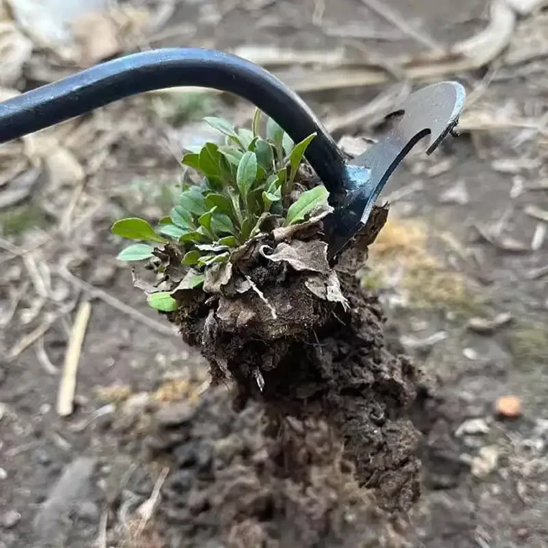 เครื่องมือกำจัดวัชพืชในสวน ทำจ - Gardening Tools To Remove Grass บทวิจารณ์และราคา