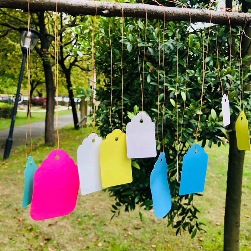 ป้ายแขวนสำหรับติดต้นไม้ทำจากพี - Gardening Tools Labeled บทวิจารณ์และราคา