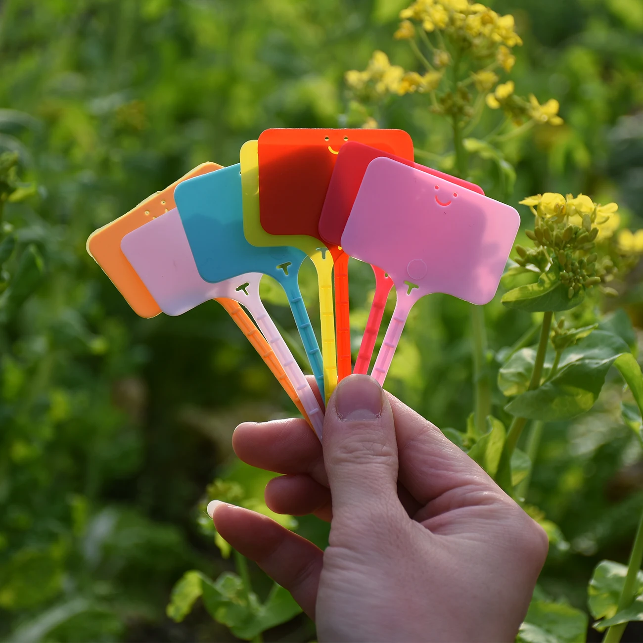 50PCS กันน้ําสวนป้ายพลาสติกหมว - Gardening Tools Labeled บทวิจารณ์และราคา