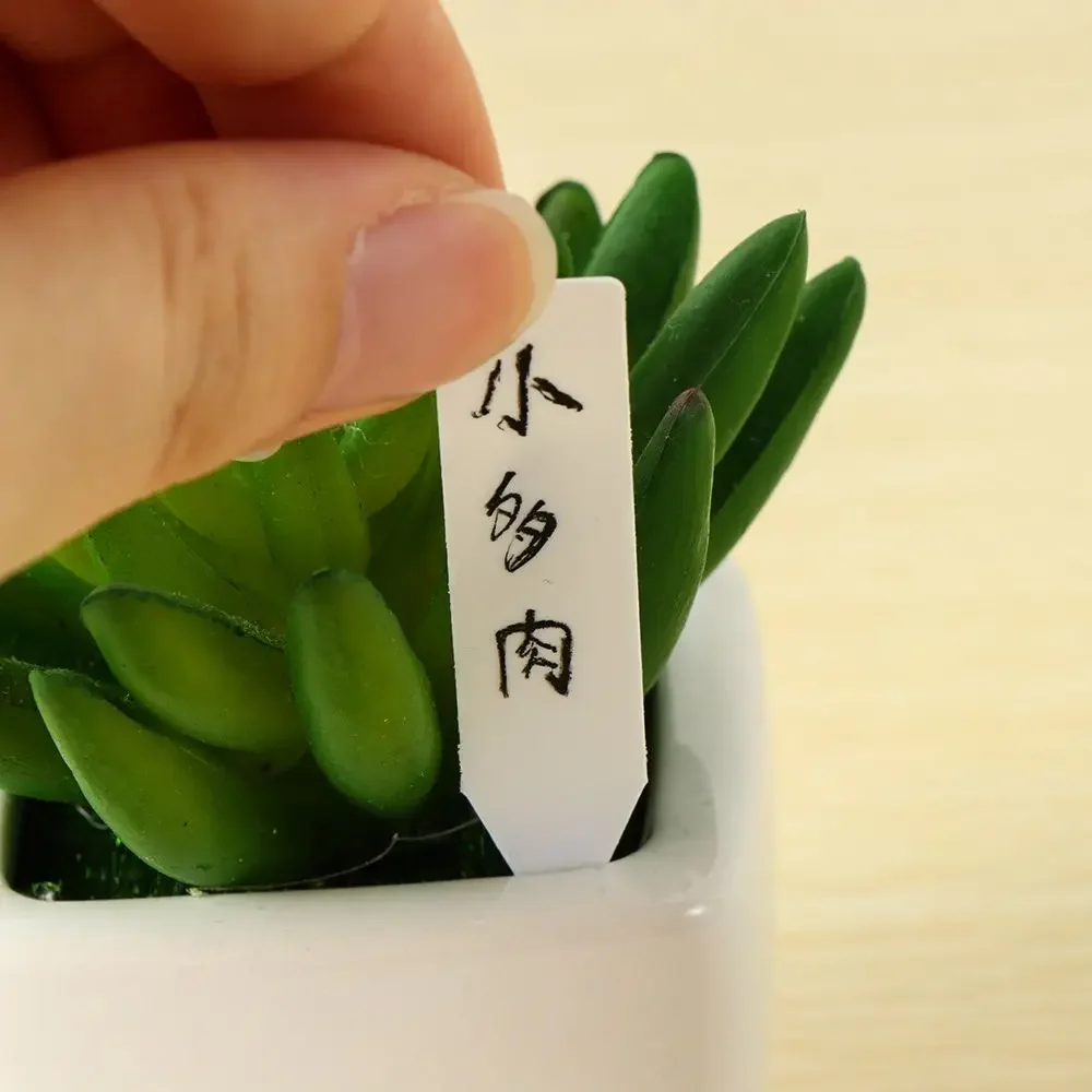 100 ชิ้นนํากลับมาใช้ใหม่การจํา - Gardening Tools Labeled บทวิจารณ์และราคา