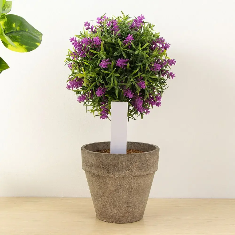 100 ชิ้นนํากลับมาใช้ใหม่การจํา - Gardening Tools Labeled บทวิจารณ์และราคา
