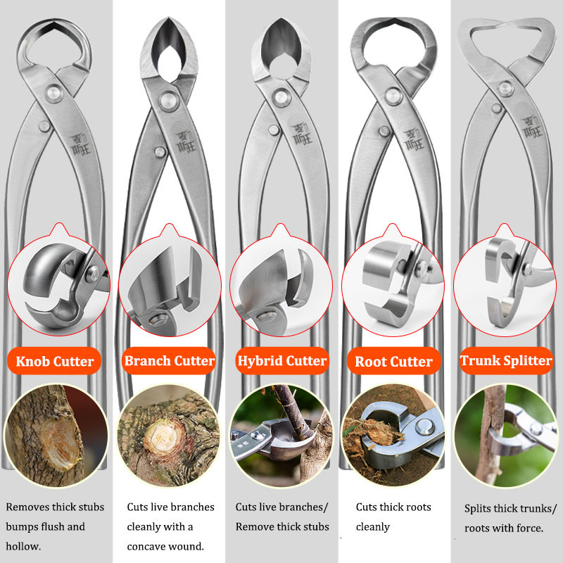 ชุดเครื่องมือบอนไซพรีเมียม ประ - Gardening Tools Australia บทวิจารณ์และราคา
