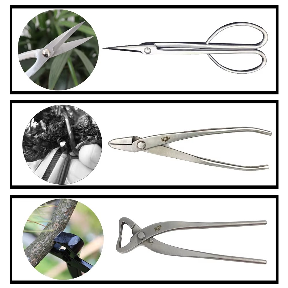 ชุดเครื่องมือบอนไซพรีเมียม ประ - Gardening Tools Australia บทวิจารณ์และราคา