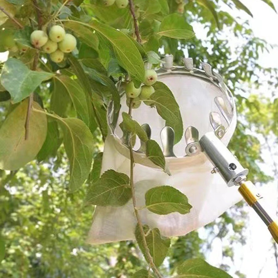 เครื่องมือเก็บผลเบอร์รี่แบบมือ - Gardening Tools Basket บทวิจารณ์และราคา