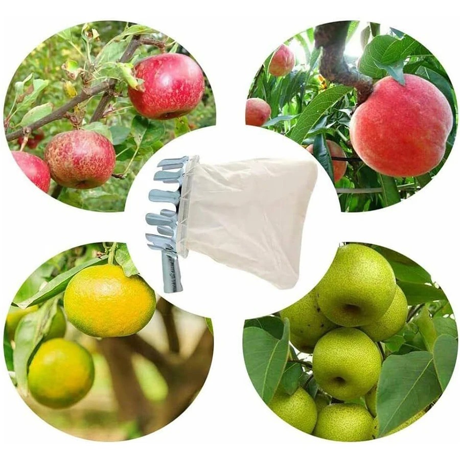 เครื่องมือเก็บผลเบอร์รี่แบบมือ - Gardening Tools Basket บทวิจารณ์และราคา