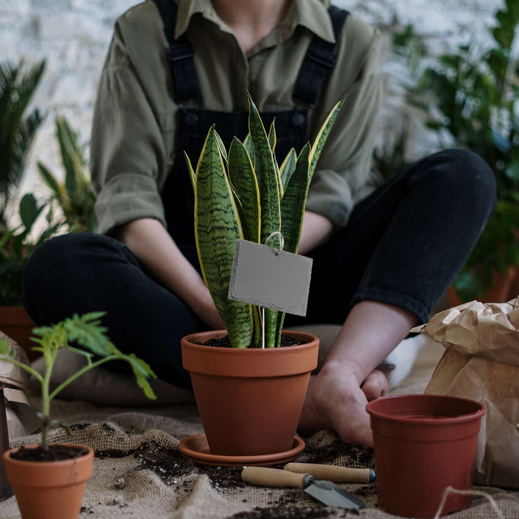 AB09 ป้ายติดต้นไม้ ป้ายระบุพืช - Gardening Tools Labeled บทวิจารณ์และราคา