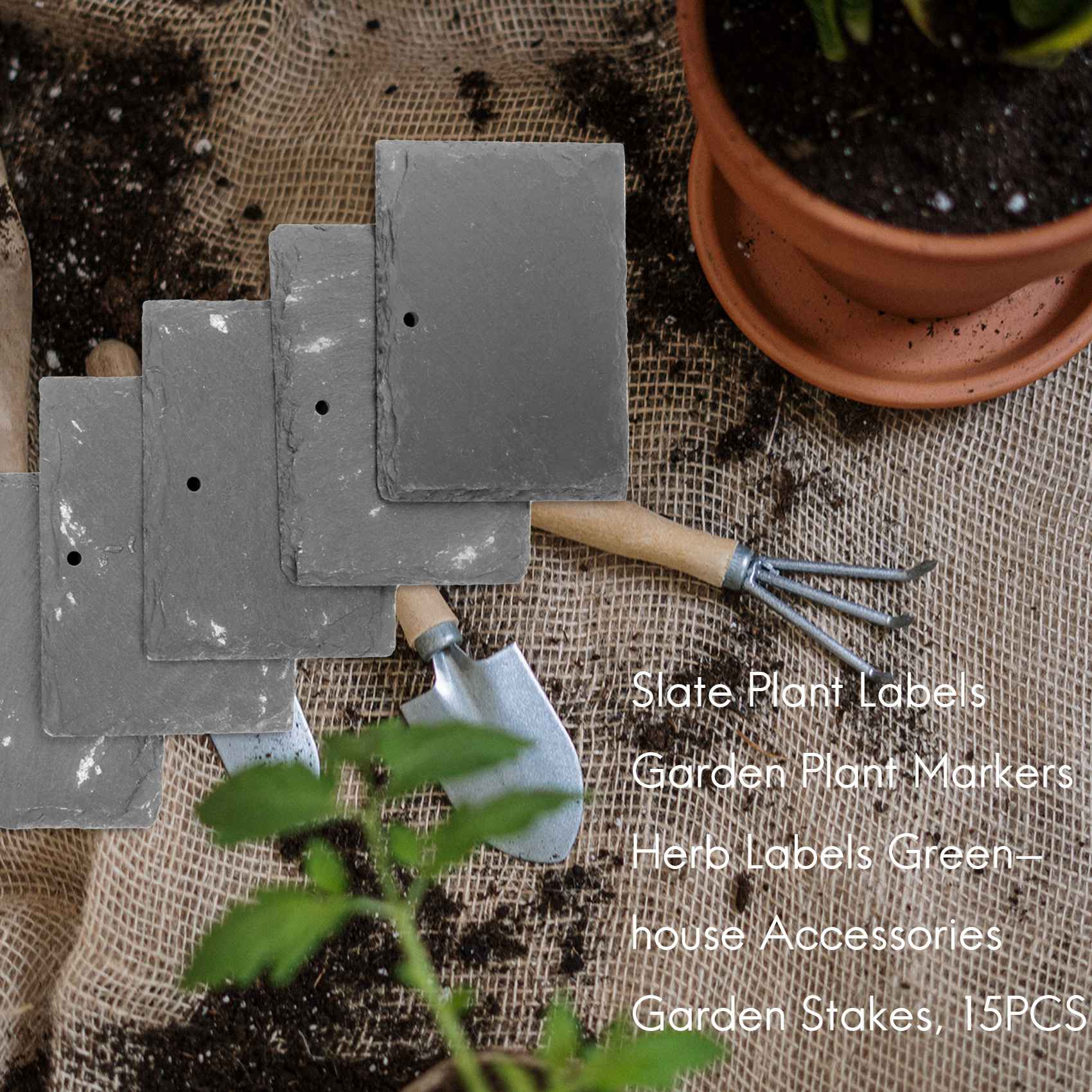 AB09 ป้ายติดต้นไม้ ป้ายระบุพืช - Gardening Tools Labeled บทวิจารณ์และราคา