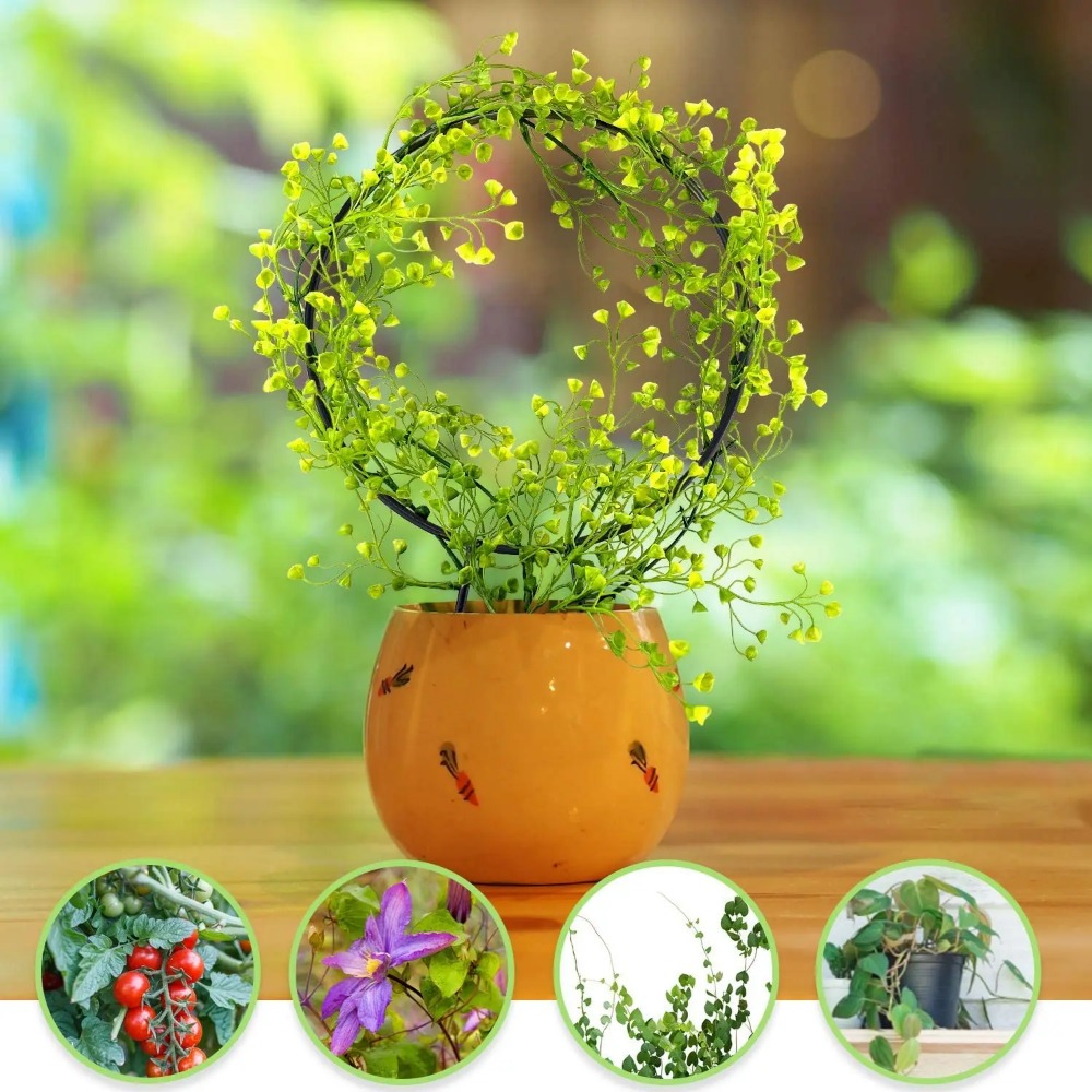 1 PC สนับสนุน Garden Stake Sta - Gardening Tools Australia บทวิจารณ์และราคา