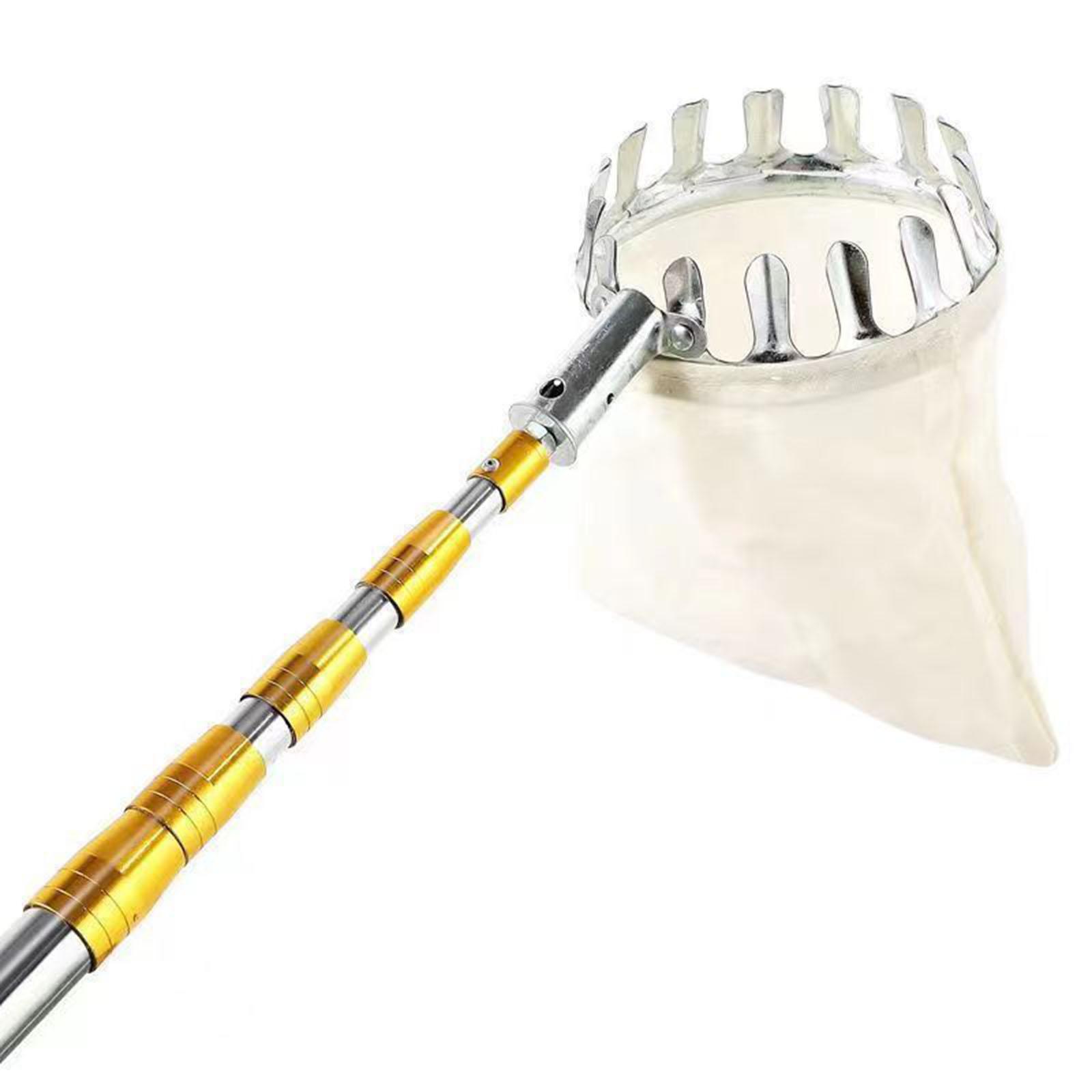 เครื่องมือเก็บผลไม้ ตะกร้าเก็บ - Gardening Tools Basket บทวิจารณ์และราคา