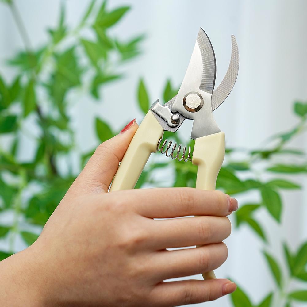 กรรไกรตัดแต่งสวนสำหรับต้นไม้,  - Gardening Tools Australia บทวิจารณ์และราคา