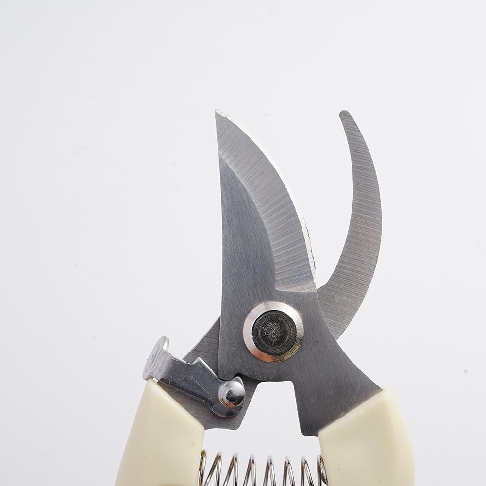 กรรไกรตัดแต่งสวนสำหรับต้นไม้,  - Gardening Tools Australia บทวิจารณ์และราคา