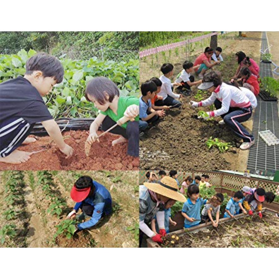 จอบตัดหญ้า SERENITA เครื่องมือ - Gardening Tools Edger บทวิจารณ์และราคา